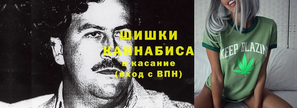 индика Горнозаводск