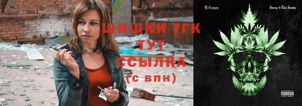 гашик Алексеевка