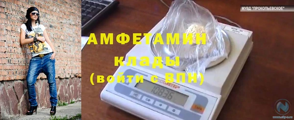 молекула духа Алексин