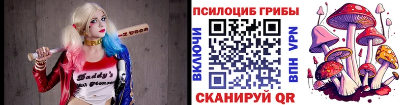 Псилоцибиновые грибы GOLDEN TEACHER  купить закладку  Кимры 