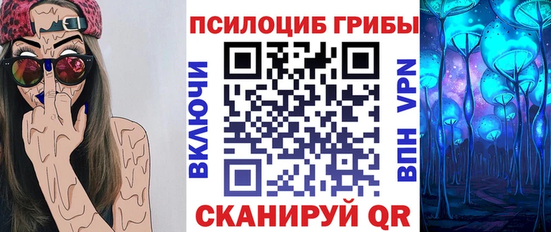 Галлюциногенные грибы Psilocybe Кимры