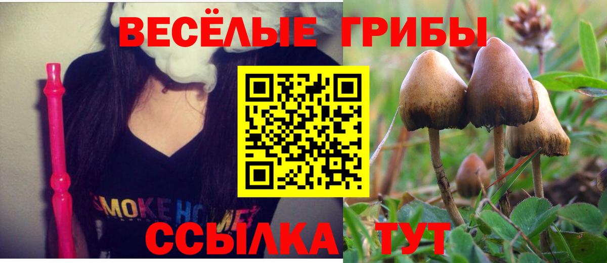 Галлюциногенные грибы ЛСД Кимры
